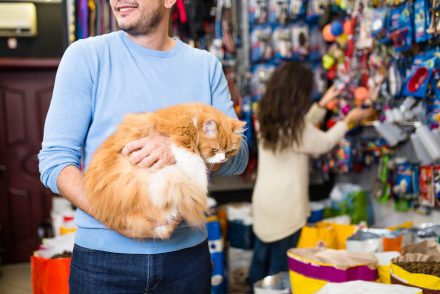 Quais impostos meu petshop deve pagar? A gente explica!